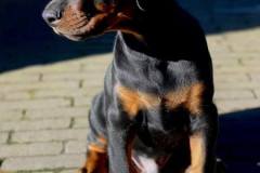 155852712_3801946849881528_2709586756919056628_n