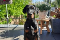 187237183_4026689214073956_2609416875114853801_n