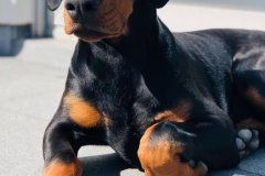 187240989_4026614637414747_5000015918721028502_n