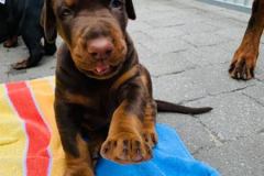 196912786_4087531937989683_6468353593219260419_n