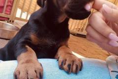 197011598_4087531931323017_5725766045817802934_n