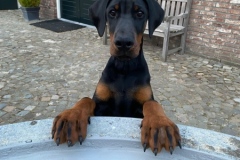 280113372_5135238736552326_8123600787716936504_n