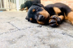 295882737_5371254492950748_8520111488464511993_n