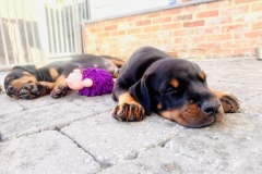 295973358_5371270162949181_6276985885019497220_n