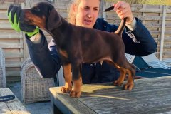 340946738_803016071406322_8294029423005637494_n