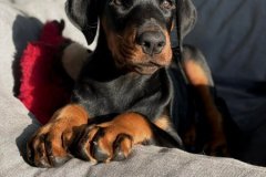 342001303_3321024121443666_3900567199354724521_n