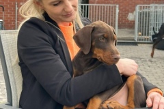 344567894_6079009282212162_796333076601455327_n