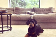 345476097_1022796559128021_1933191704265282193_n