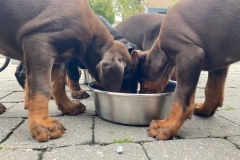 398324065_6828370257239157_1566644485800714242_n