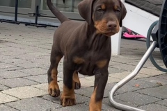 398404874_6828370580572458_5432908229003432539_n