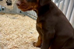 399018150_6841196895956493_6783864843201707766_n