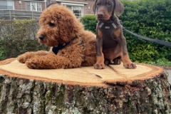 440414469_7563395030403339_4819724039471775924_n