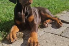 440739860_7563417837067725_6794353555181459732_n