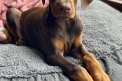 441953353_7574609669281875_4690332319374134757_n