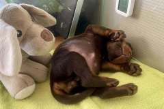 461301266_8396383530437814_1201090286351868968_n