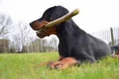 464781807_8623688977707267_3364792859344957298_n