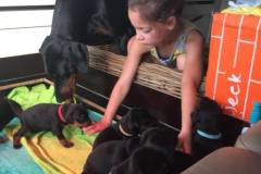 465014645_8638295599579938_4683834924335688684_n