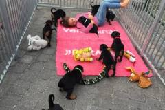 465065206_8637960929613405_4248643571573535300_n