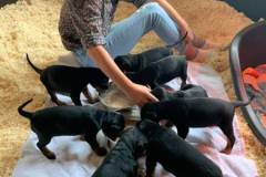 471327492_8934861199923375_3029983770245860132_n