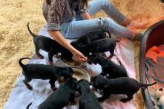 471328457_8934861329923362_230804039555808461_n