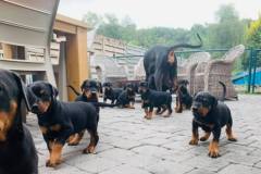 472176798_8983466915062803_1835704364062265169_n