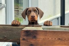 473078751_18482933281048555_5778507114034205312_n