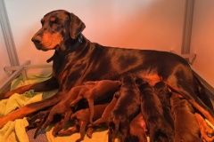 476911437_9218489331560559_1212954134837233232_n